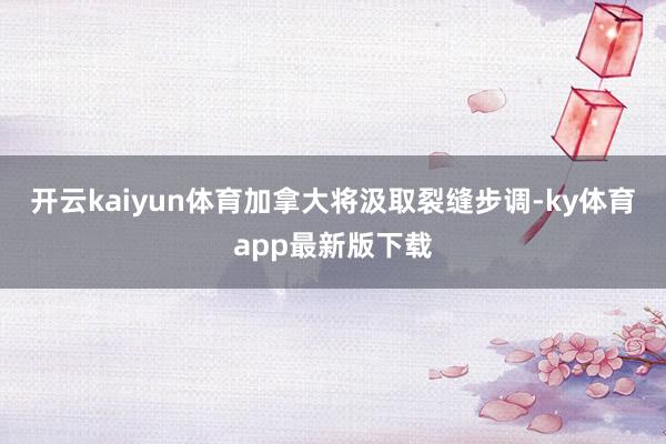 开云kaiyun体育加拿大将汲取裂缝步调-ky体育app最新版下载