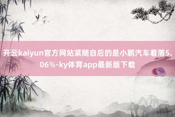 开云kaiyun官方网站紧随自后的是小鹏汽车着落5.06%-ky体育app最新版下载