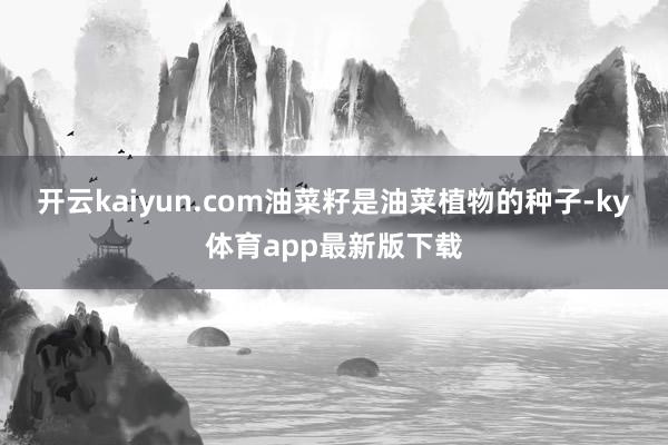 开云kaiyun.com油菜籽是油菜植物的种子-ky体育app最新版下载