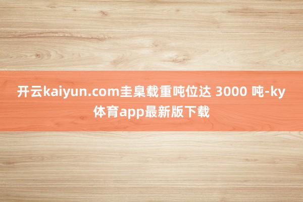 开云kaiyun.com圭臬载重吨位达 3000 吨-ky体育app最新版下载
