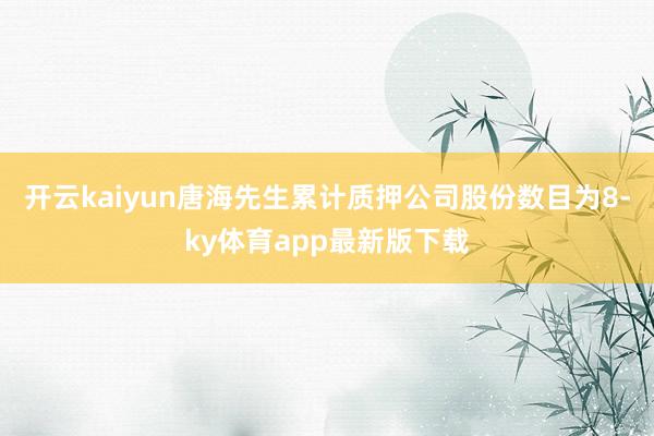 开云kaiyun唐海先生累计质押公司股份数目为8-ky体育app最新版下载