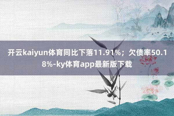 开云kaiyun体育同比下落11.91%;欠债率50.18%-ky体育app最新版下载