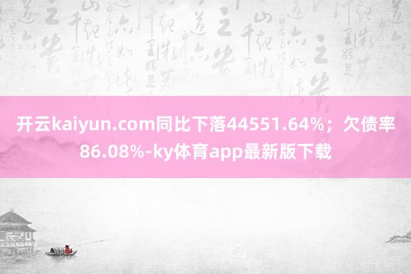 开云kaiyun.com同比下落44551.64%;欠债率86.08%-ky体育app最新版下载
