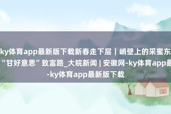 ky体育app最新版下载新春走下层｜峭壁上的采蜜东谈主 勇闯“甘好意思”致富路_大皖新闻 | 安徽网-ky体育app最新版下载