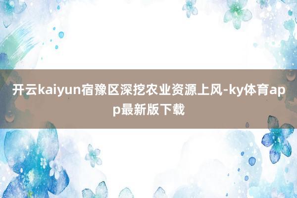 开云kaiyun宿豫区深挖农业资源上风-ky体育app最新版下载