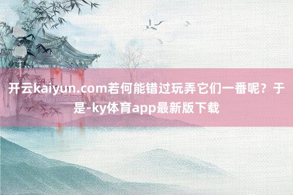 开云kaiyun.com若何能错过玩弄它们一番呢？于是-ky体育app最新版下载